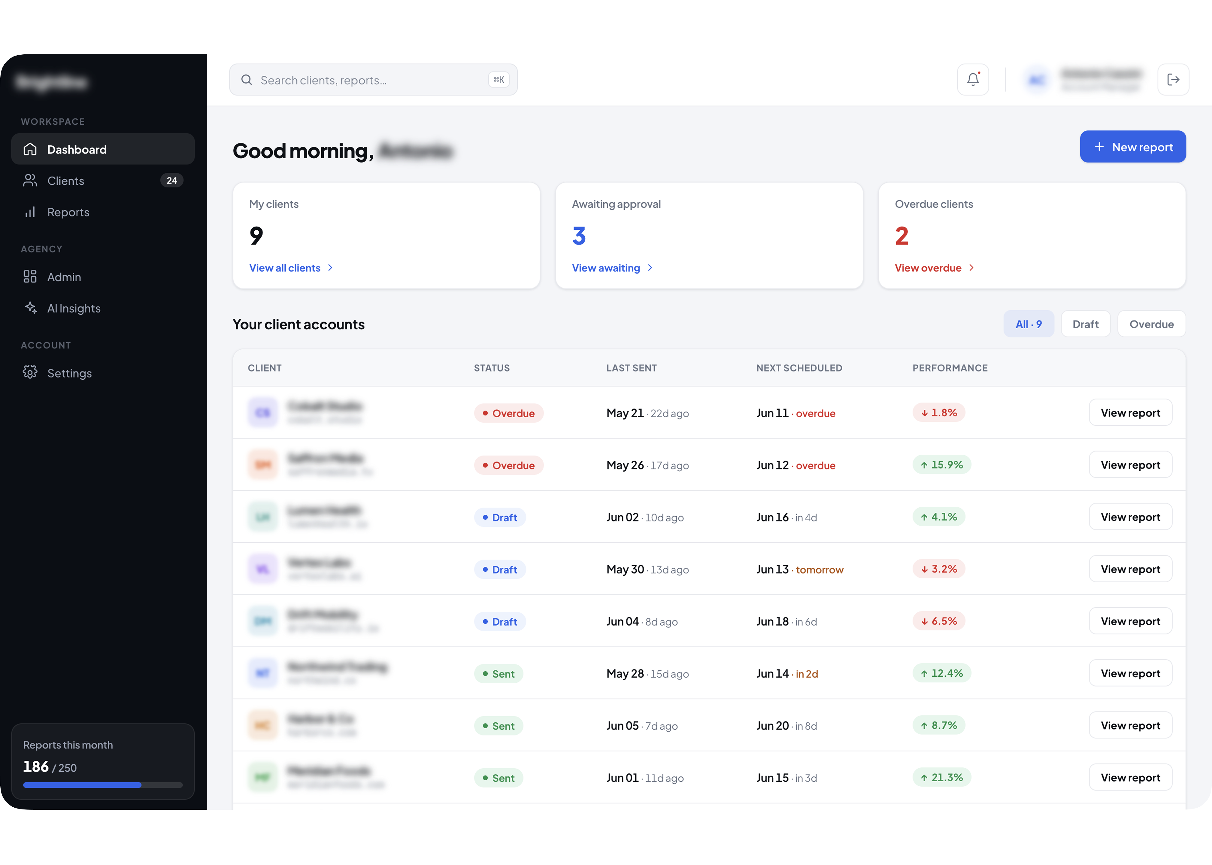 Automated client report generation interface for marketing agency Netherlands | Altum Software
